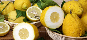 citrus-cedro