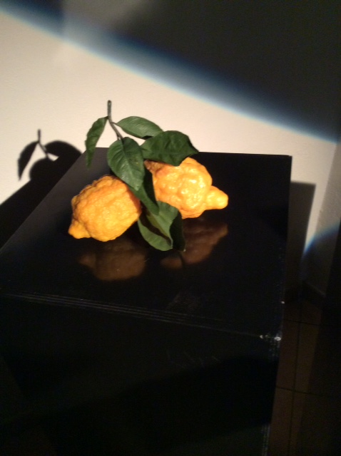 limoni di cera