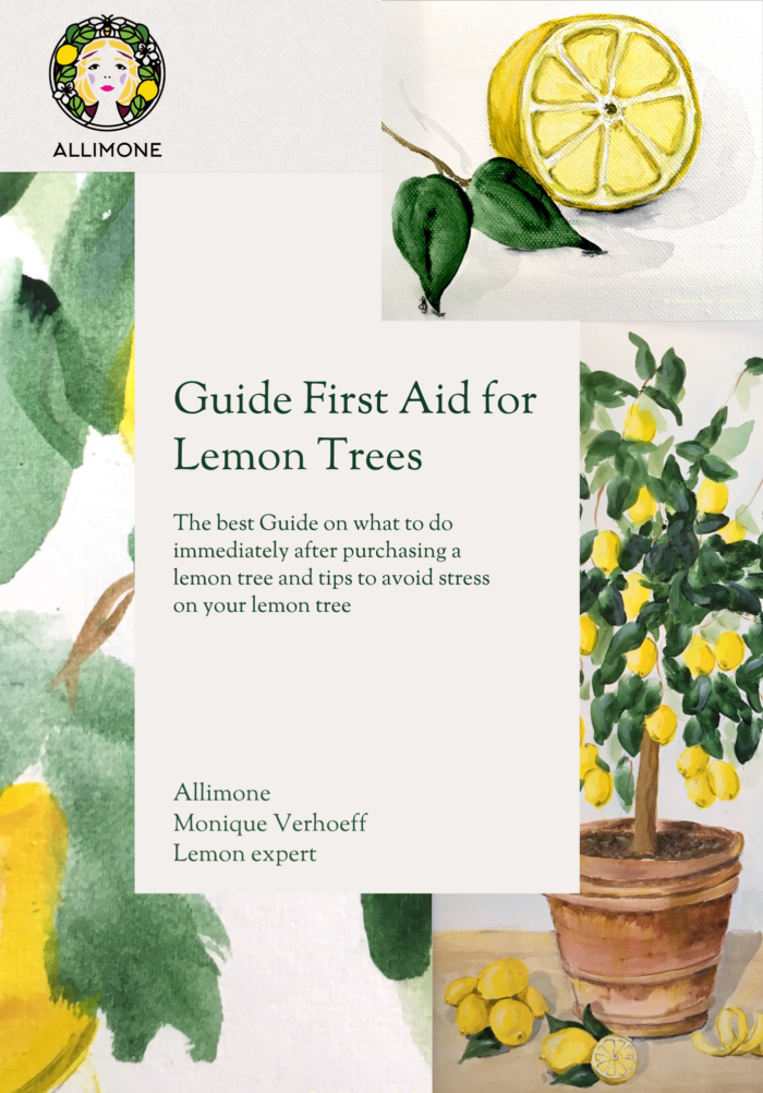 First Aid for Lemon Trees Guide