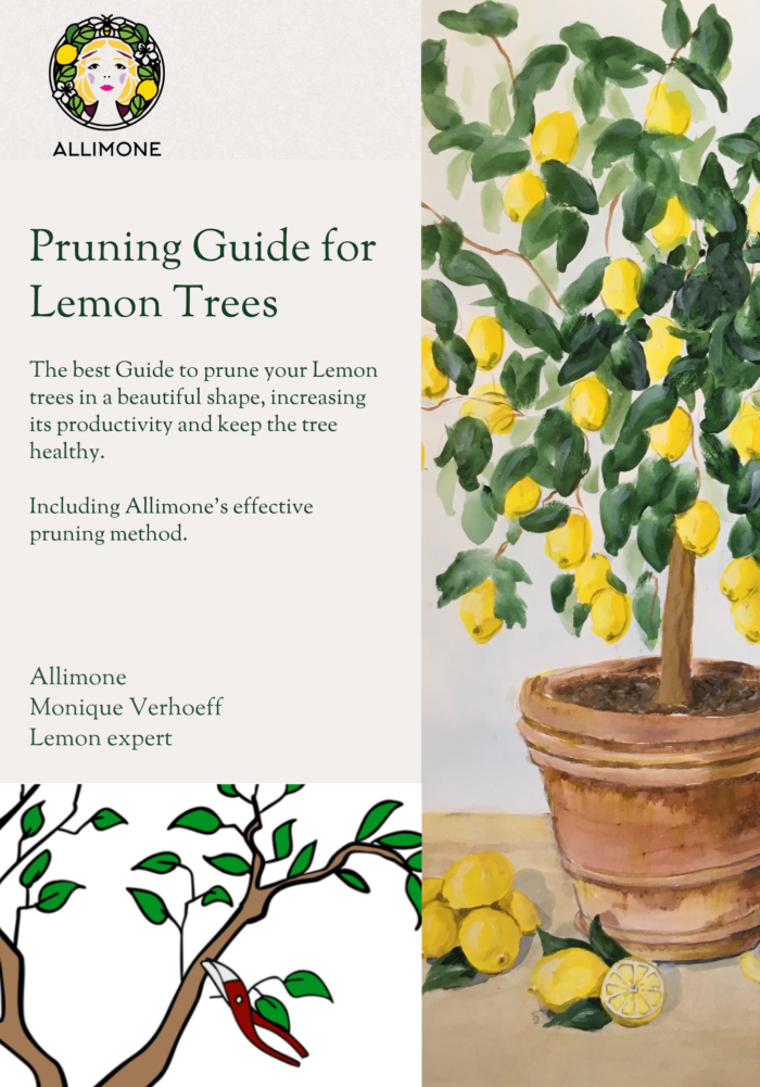 Pruning Guide for Lemon Trees