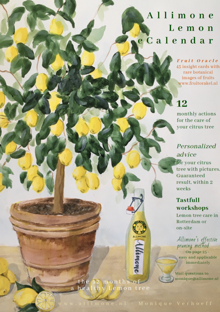 Allimone Lemon eCalendar