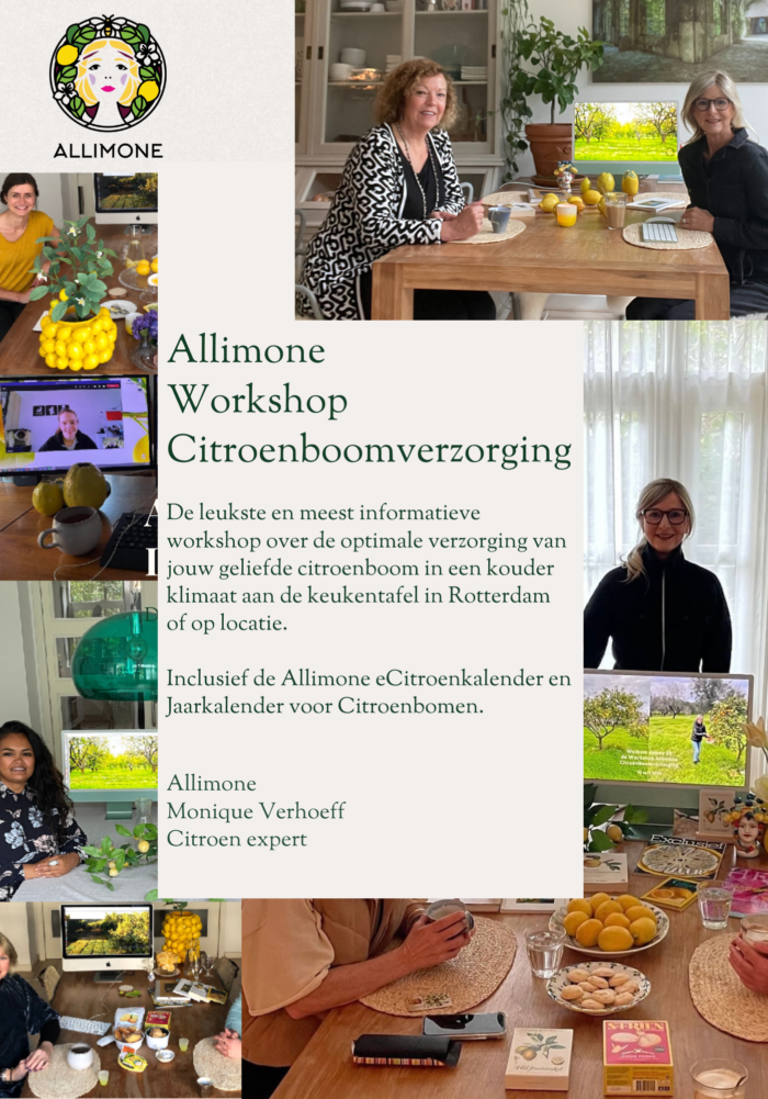 Allimone Workshop Citroenboomverzorging in Rotterdam