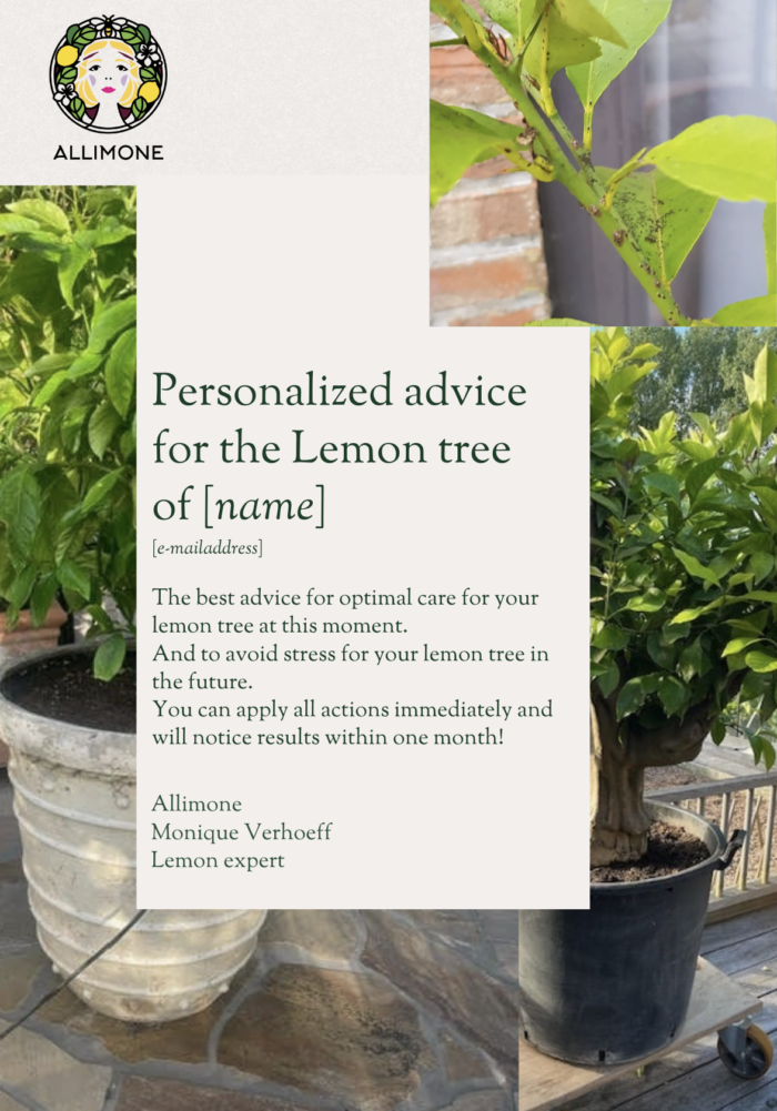 Personalized advice Lemon tree