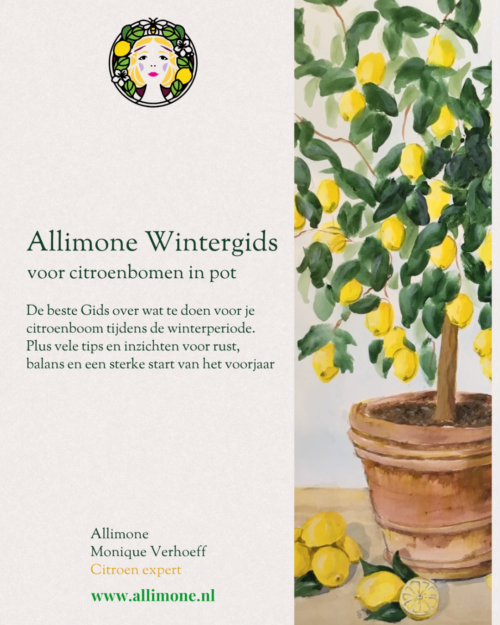 Allimone Wintergids